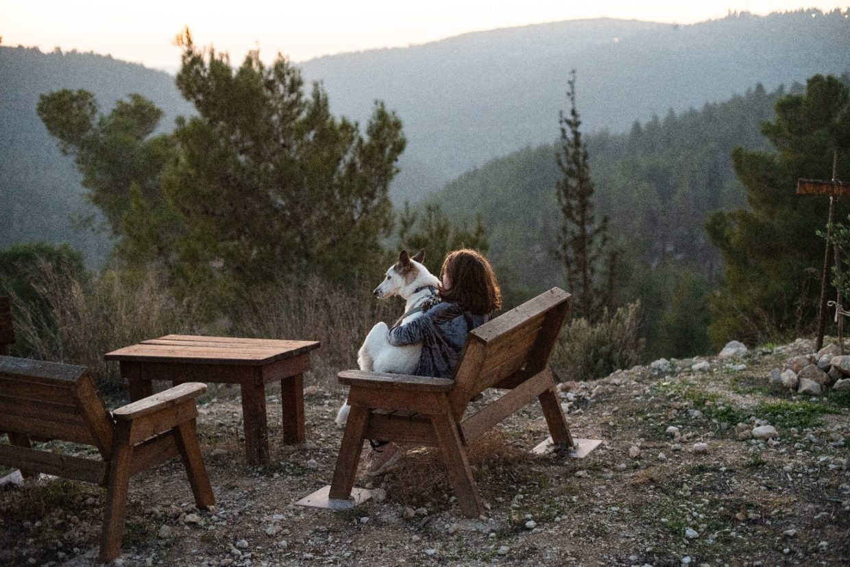 Pet Friendly Stays Julian CA